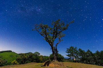 Starry night at Minas Gerais.
