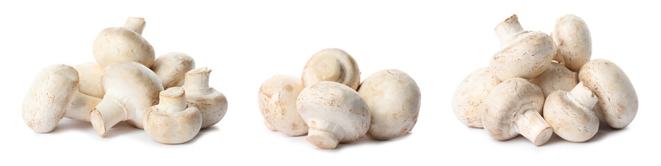 Set with fresh champignon mushrooms on white background, banner design