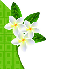  Illustration of a floral background with a sprig of plumeria frangipani (Plumeria) with leaves.