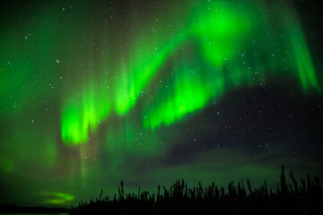 Northern lights at Yellowknife, Canada