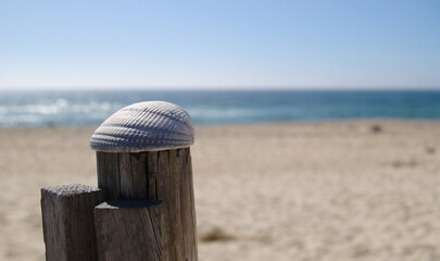 Concha pousada no topo de um pau de uma vedação de uma praia com a praia e o mar de fundo em...