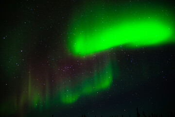 Fototapeta na wymiar Northern lights at Yellowknife, Canada