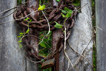 Old metal door plate rusty (detail)