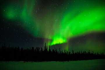 Fototapeta na wymiar Northern lights at Yellowknife, Canada