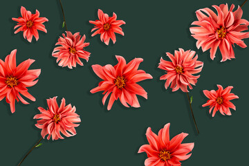 floral pattern. abstract floral background made of dahlia flower