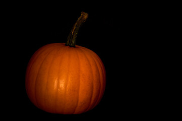 Pumpkin in darkness. Halloween mood.