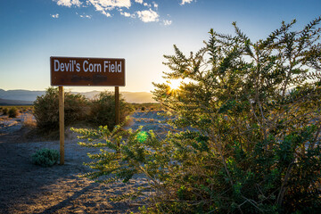 Devil's Corn Field Road Sign in the Desert of Death Valley