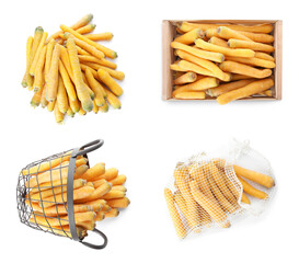 Set of fresh yellow carrots on white background, top view