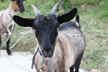 한국에서여름휴가철에고향가면서찍은사진입니다