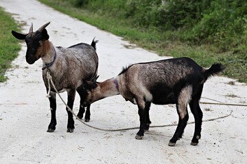 Fototapeta premium 한국에서여름휴가철에고향가면서찍은사진입니다