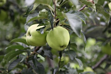 한국에서여름휴가철에고향가면서찍은사진입니다