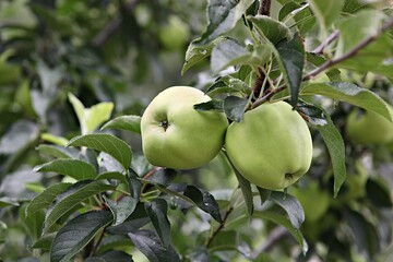 한국에서여름휴가철에고향가면서찍은사진입니다