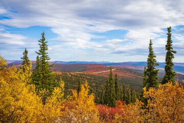 Indian Summer on the Top of the World Highway in Canada