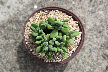 한국의여름휴가철에고향가면서찍은사진입니다