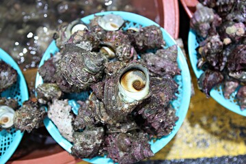 한국의여름휴가철에고향가면서찍은사진입니다