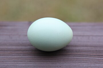 한국의여름휴가철에고향가면서찍은사진입니다