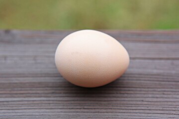 한국의여름휴가철에고향가면서찍은사진입니다