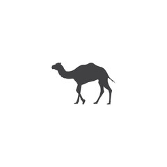 Camel silhouette vector icon illustration