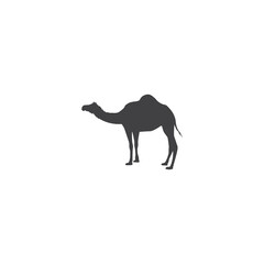 Camel silhouette vector icon illustration