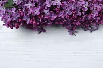 Beautiful lilac blossom on white wooden background, flat lay. Space for text