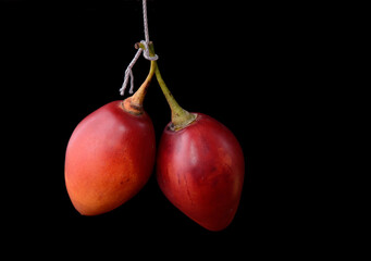 still life with tree tomatos