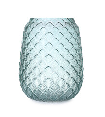 Stylish empty glass vase isolated on white