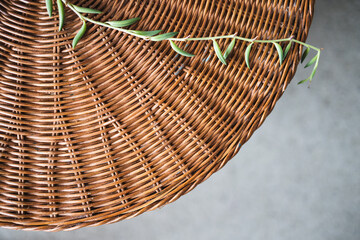 close-up of succulet plant on top of rattan table indoor