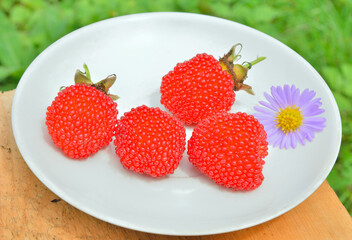 Raspberries