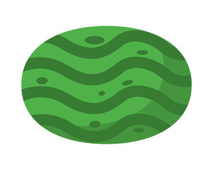 watermelon fresh delicious fruit isolated style icon