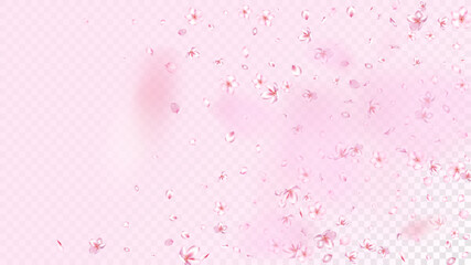 Nice Sakura Blossom Isolated Vector. Spring Flying 3d Petals Wedding Texture. Japanese Style Flowers Wallpaper. Valentine, Mother's Day Spring Nice Sakura Blossom Isolated on Rose