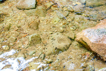 岐阜県　阿弥陀ヶ滝