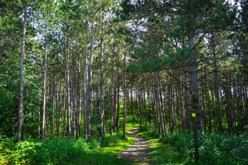 The starting path to the rest of your journey 