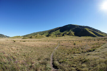 beautiful savana of mountain bromo