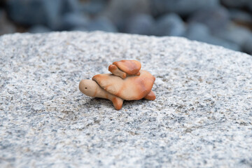 かわいい備前焼の親子亀　A pair of parent-child turtle ornaments made of Bizen ware , Japanese famous pottery
