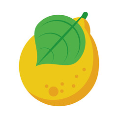 mango fresh delicious fruit isolated style icon