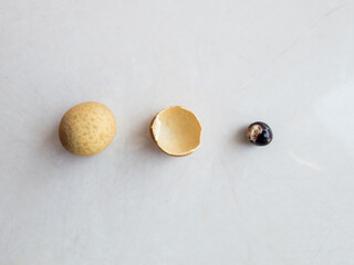 longan fruit flat layout composition