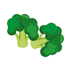fresh broccoli healthy vegetable icon