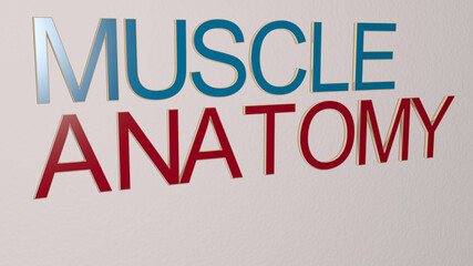 3D illustration of muscle anatomy graphics and text made by metallic dice letters for the related meanings of the concept and presentations. body and fitness