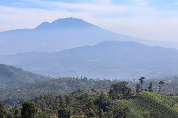 Obraz premium mountain view with some tea plantation hills in front of it