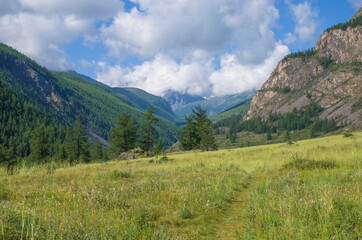 Fototapeta na wymiar The trail goes to the Altai Mountains in Russia landscape 