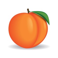 Realistic whole peach vector illustration