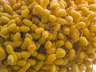 Date palm has good taste, sweet, crispy, delicious.