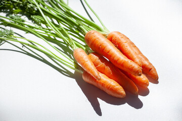 Group of carrots in perspective, raw with stems and leaves on light background