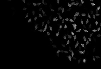 Dark Silver, Gray vector doodle backdrop.