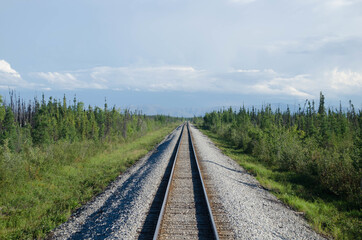 Fototapeta premium Railroad surrounded by nature in alaska
