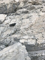 stone wall texture