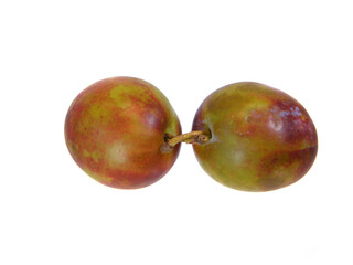 ripe plum isolated on white background