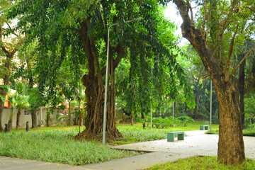 Mehan garden outdoor park in Manila, Philippines