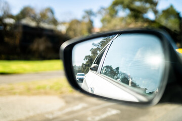 rear view mirror of car with dog looking out