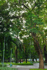 Mehan garden outdoor park in Manila, Philippines